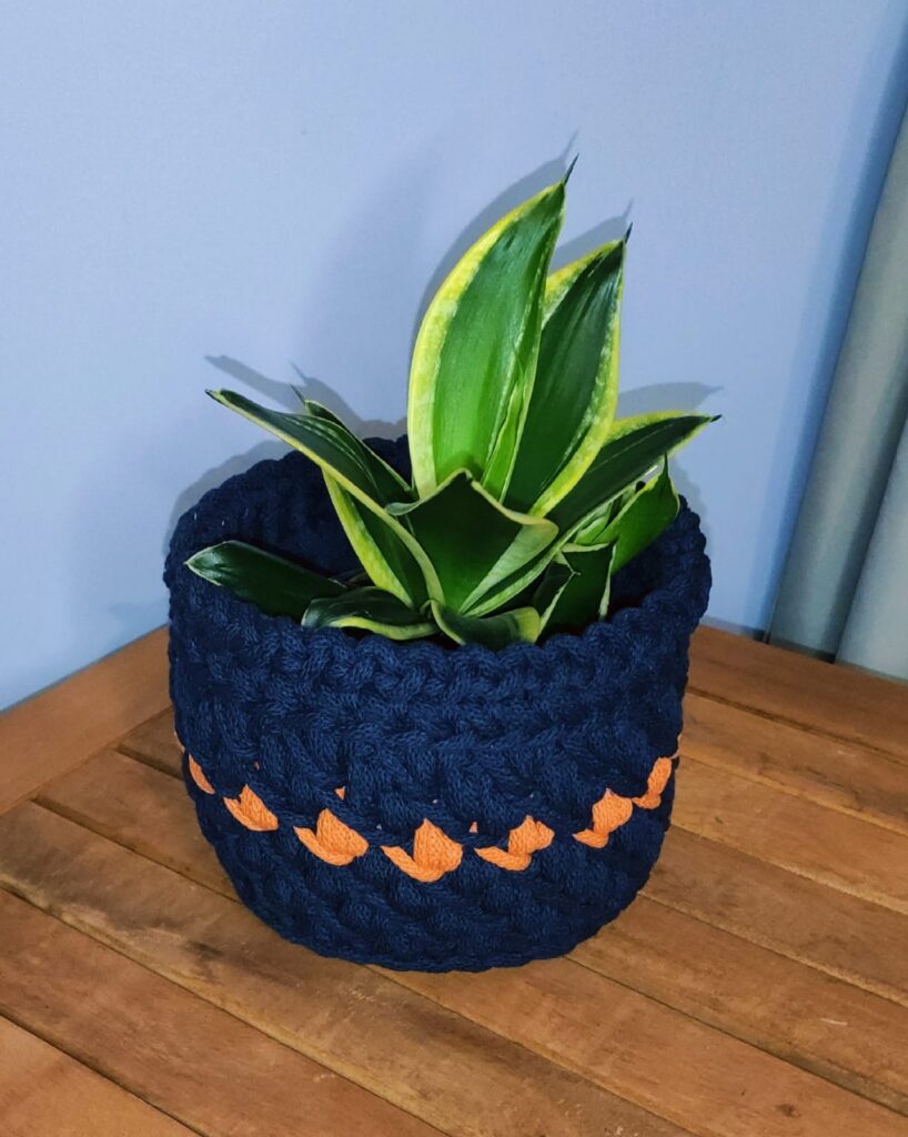 Osłonka na doniczkę handmade ze sznurka bawełnianego – dekoracja roślin